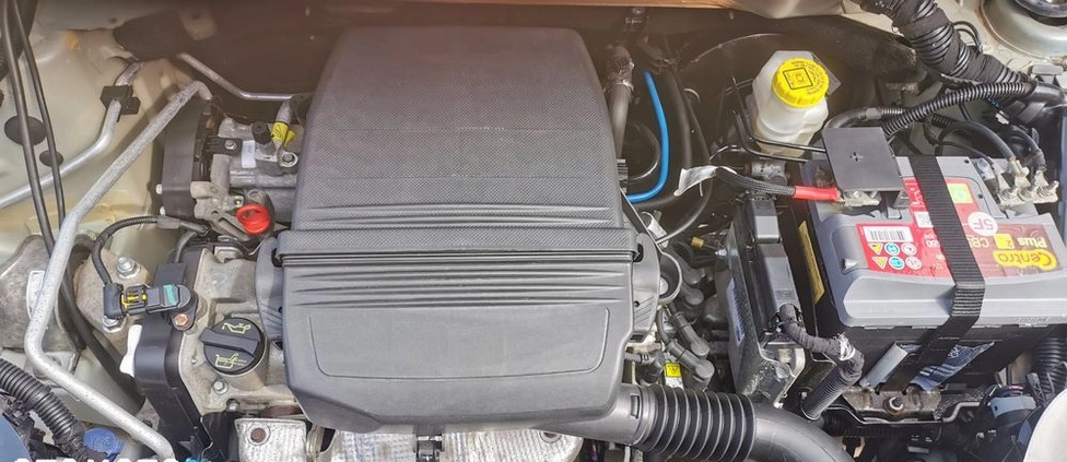 Fiat Panda cena 16900 przebieg: 75000, rok produkcji 2009 z Skępe małe 79